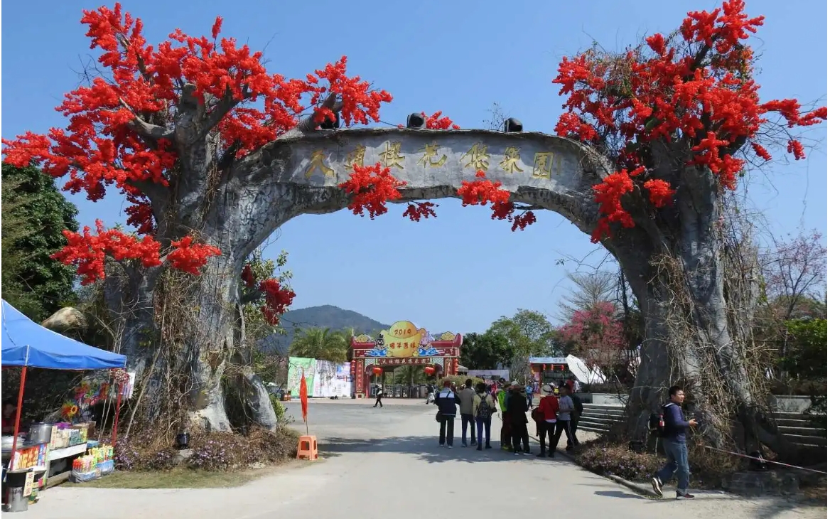 从化樱花园基地